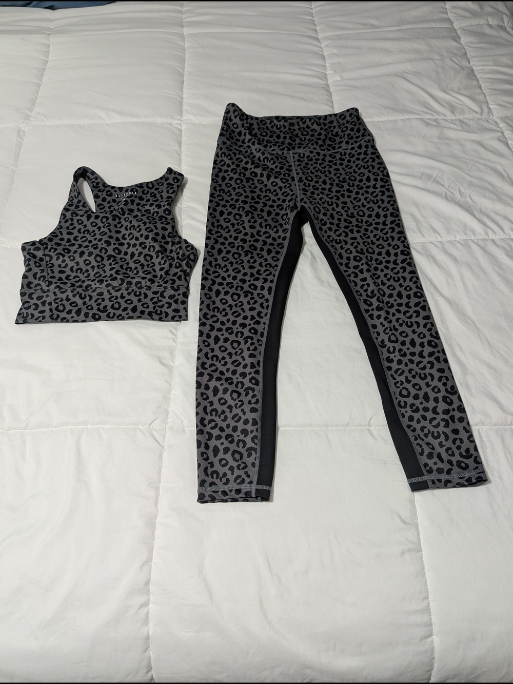 Women's Set Leopard Print High-Waist Leggings & Sports Bra - Gray
